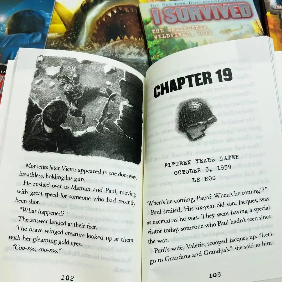 22-Book I Survived Set – English Reading, Disaster History & Survival Chapter Books for Children