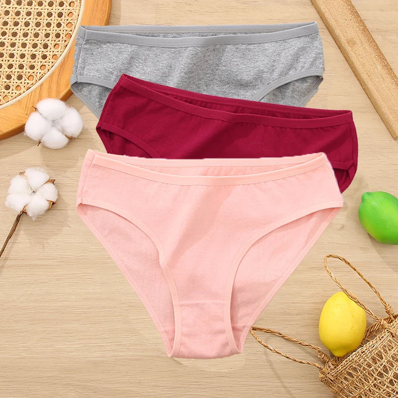 3PCS Set Women's Cotton Jacquard Panties Solid Color Sexy Briefs Underwear S-XL