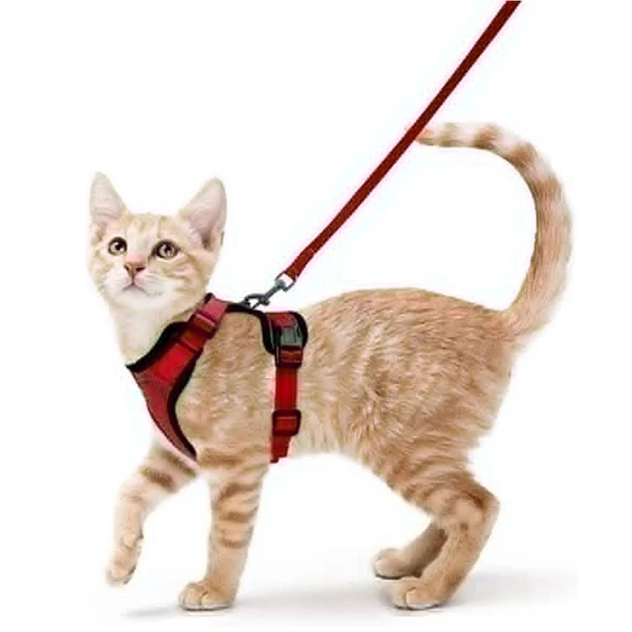 Cat Harness & Leash Set – Escape-Proof Soft Adjustable Vest for Walking