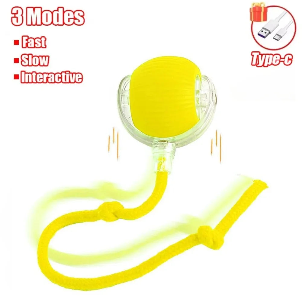 Smart Rechargeable Interactive Rolling Ball Toy – Faux Tail Electric Mouse for Cats & Dogs