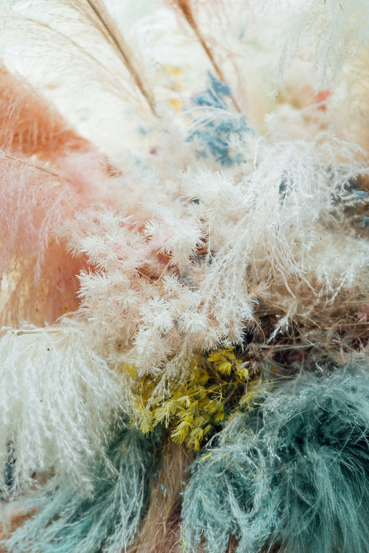 a close up of a bunch of feathers