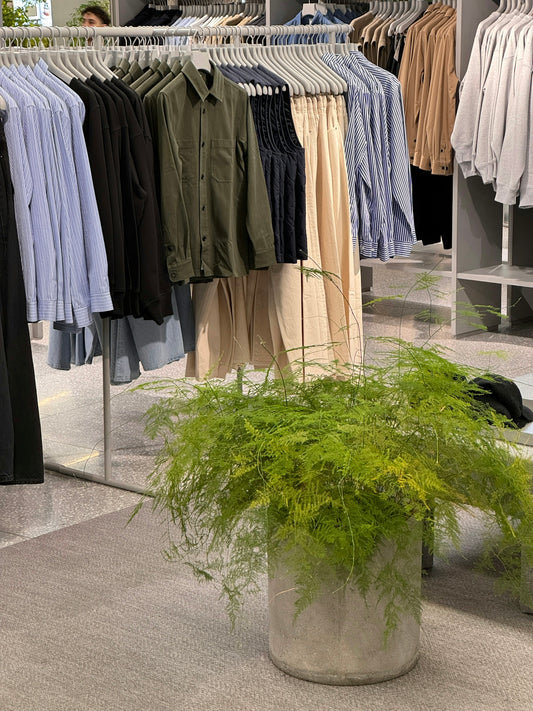 a rack of shirts and pants in a clothing store