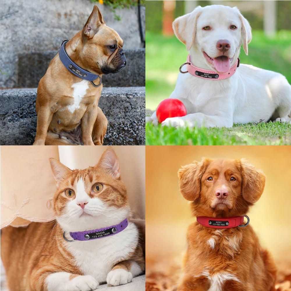 طوق جلدي مخصص للكلاب والقطط - طوق منقوش بأحجار الراين مخصص للكلاب الصغيرة والمتوسطة، وبيتبول، ويوركشاير