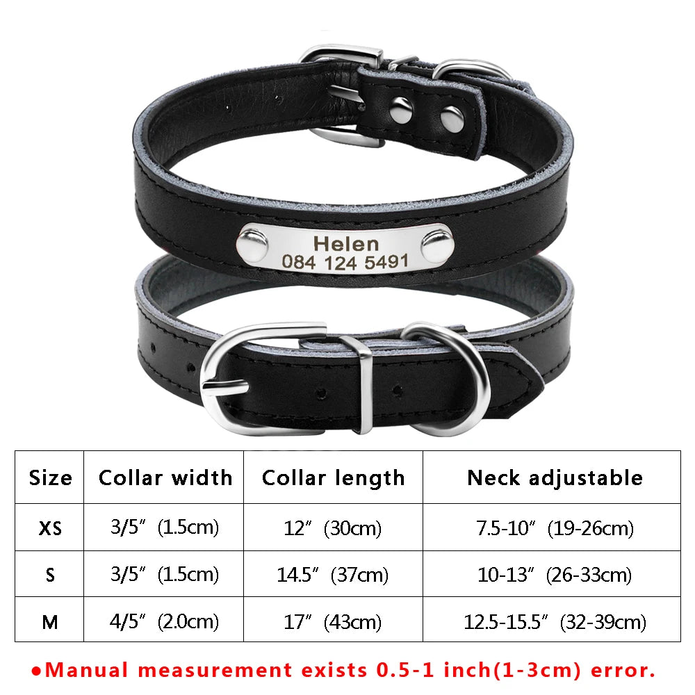 طوق جلدي مخصص للكلاب والقطط - طوق منقوش بأحجار الراين مخصص للكلاب الصغيرة والمتوسطة، وبيتبول، ويوركشاير