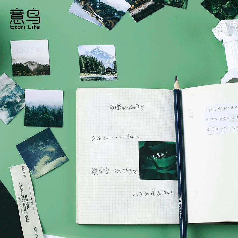 ٤٦ قطعة من ملصقات سلسلة الغابة الخضراء - يوميات جمالية، مخطط وملصقات سكرابوكينغ زخرفية