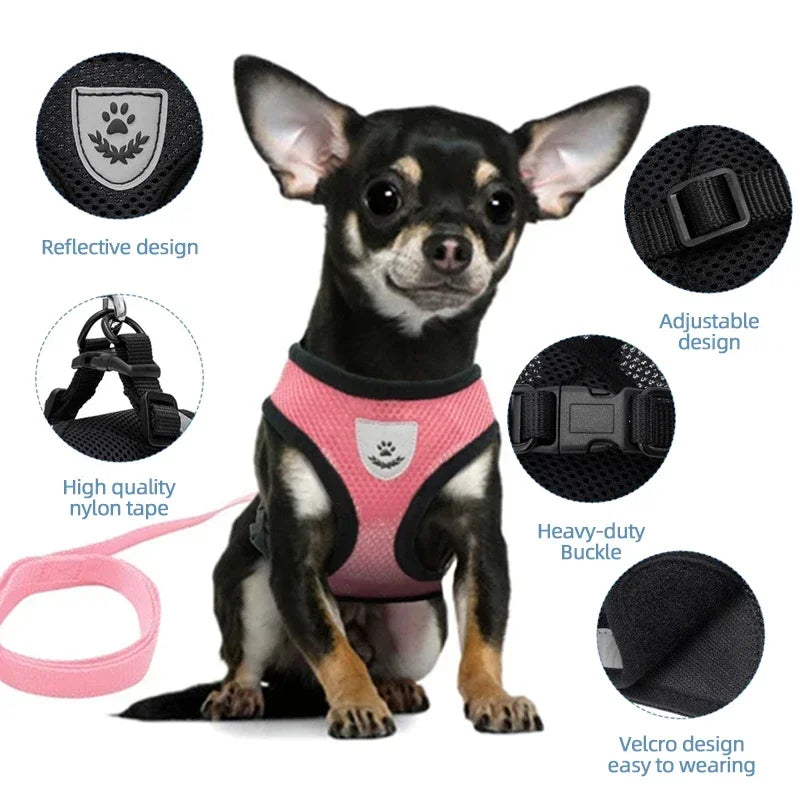 Adjustable Mesh Pet Harness & Leash Set – Comfortable Walking Vest for Cats & Small Dogs