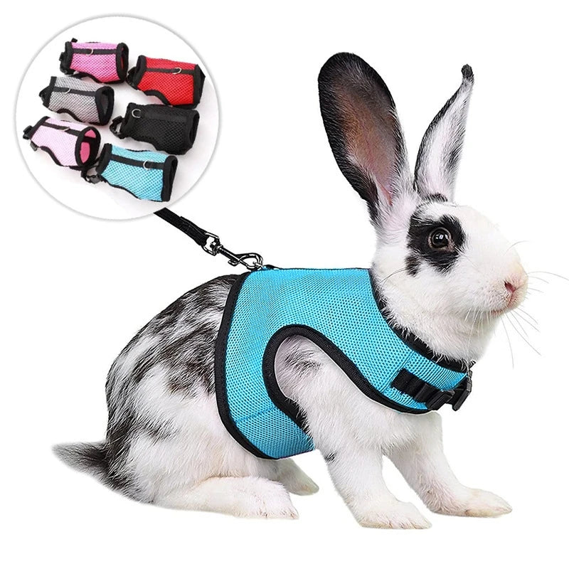 Rabbit Harness and Leash Set – Breathable Adjustable Pet Vest Carrier for Small Animals