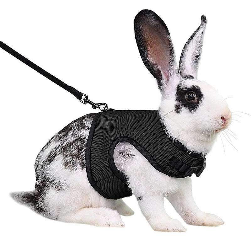 Rabbit Harness and Leash Set – Breathable Adjustable Pet Vest Carrier for Small Animals