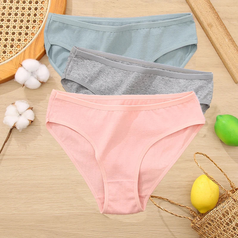3PCS Set Women's Cotton Jacquard Panties Solid Color Sexy Briefs Underwear S-XL