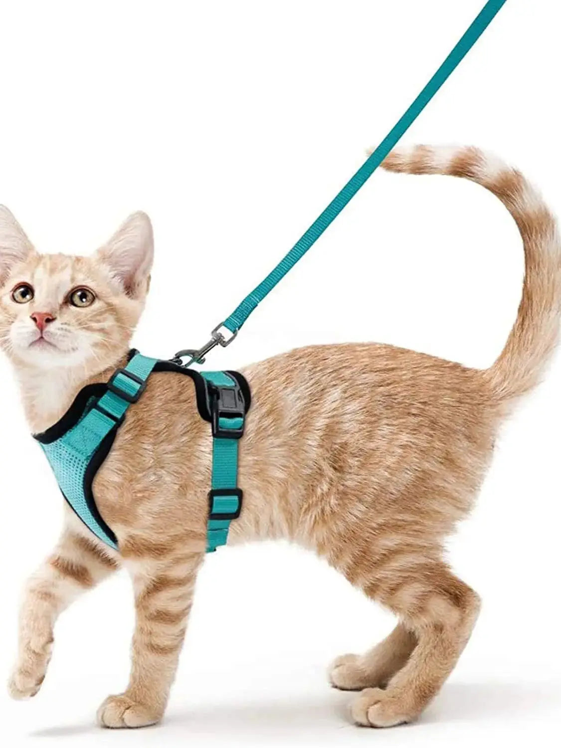 Cat Harness & Leash Set – Escape-Proof Soft Adjustable Vest for Walking