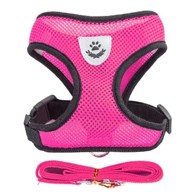 Adjustable Mesh Pet Harness & Leash Set – Comfortable Walking Vest for Cats & Small Dogs