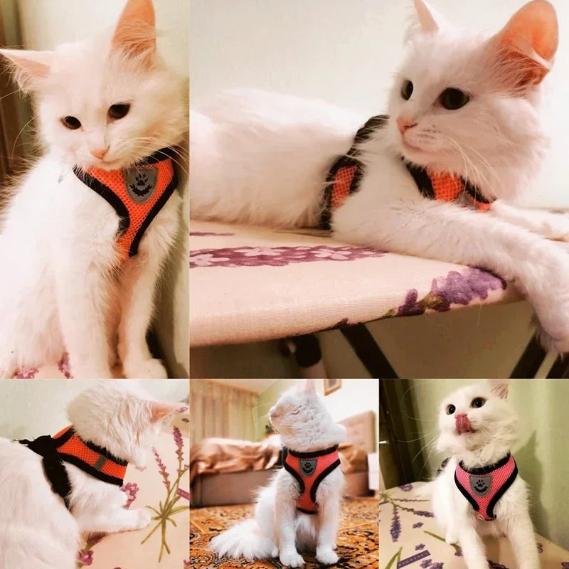 Adjustable Mesh Pet Harness & Leash Set – Comfortable Walking Vest for Cats & Small Dogs