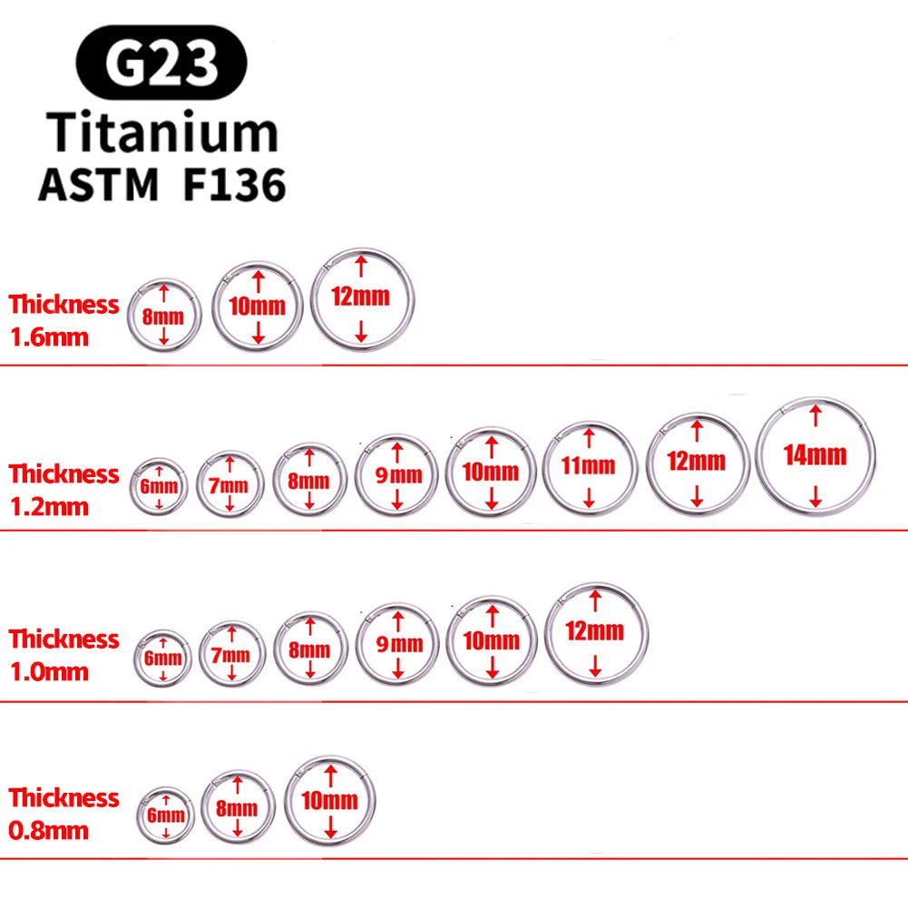 1/5Pcs Nose Rings & Lip Rings | G23 Titanium Piercing Jewelry for Women | Mixed Color Hoop Earrings & Body Clips Hinged