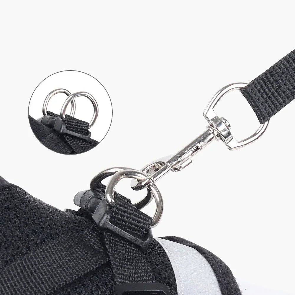 Cat & Small Dog Harness Leash Set – Reflective Escape-Proof Adjustable Vest