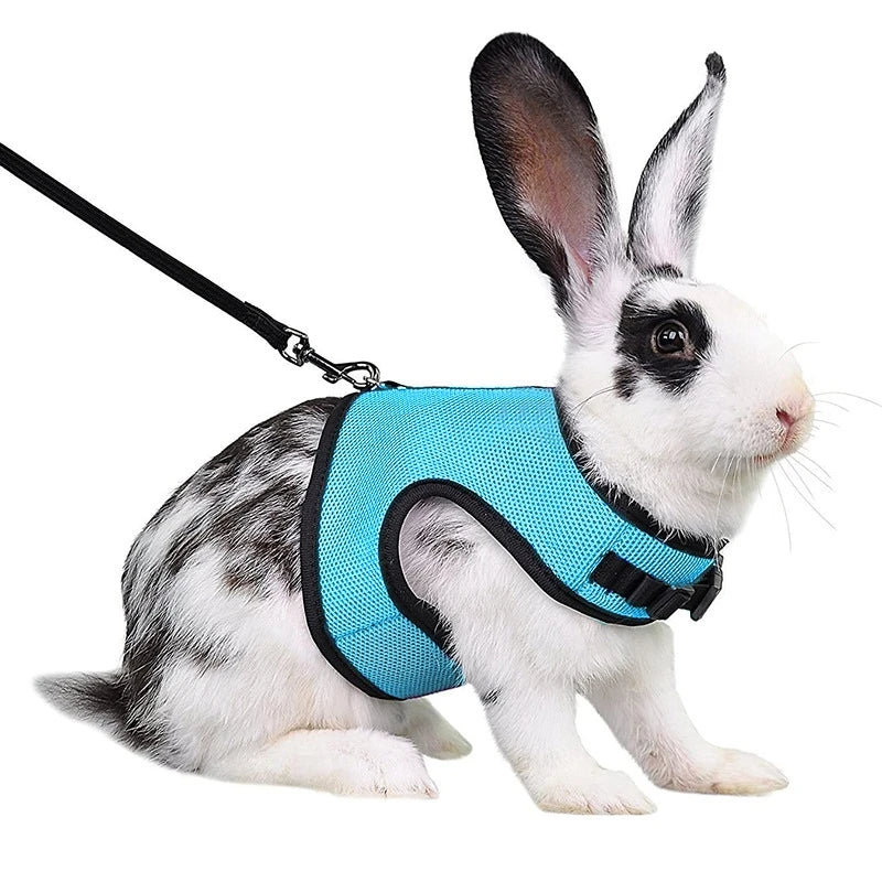Rabbit Harness and Leash Set – Breathable Adjustable Pet Vest Carrier for Small Animals