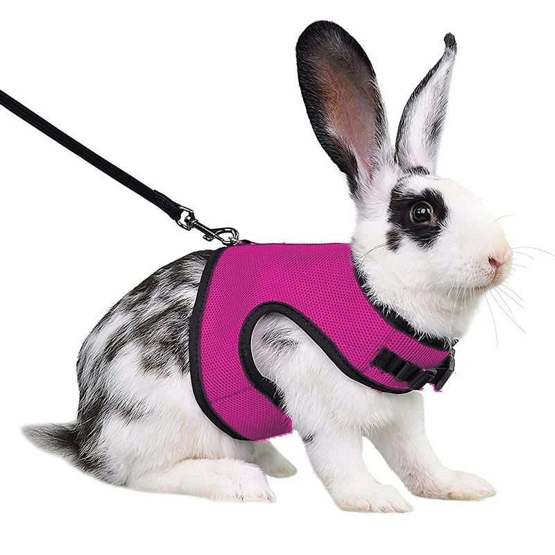 Rabbit Harness and Leash Set – Breathable Adjustable Pet Vest Carrier for Small Animals