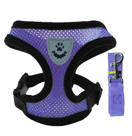 Adjustable Mesh Pet Harness & Leash Set – Comfortable Walking Vest for Cats & Small Dogs