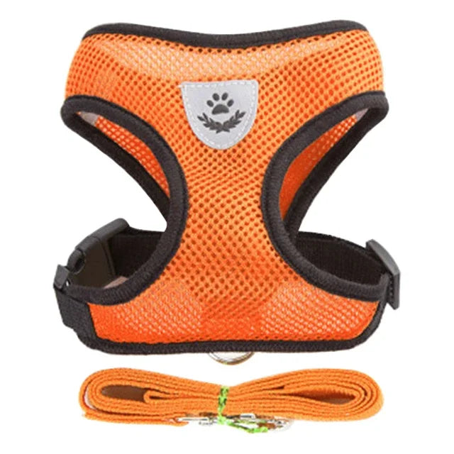 Adjustable Mesh Pet Harness & Leash Set – Comfortable Walking Vest for Cats & Small Dogs