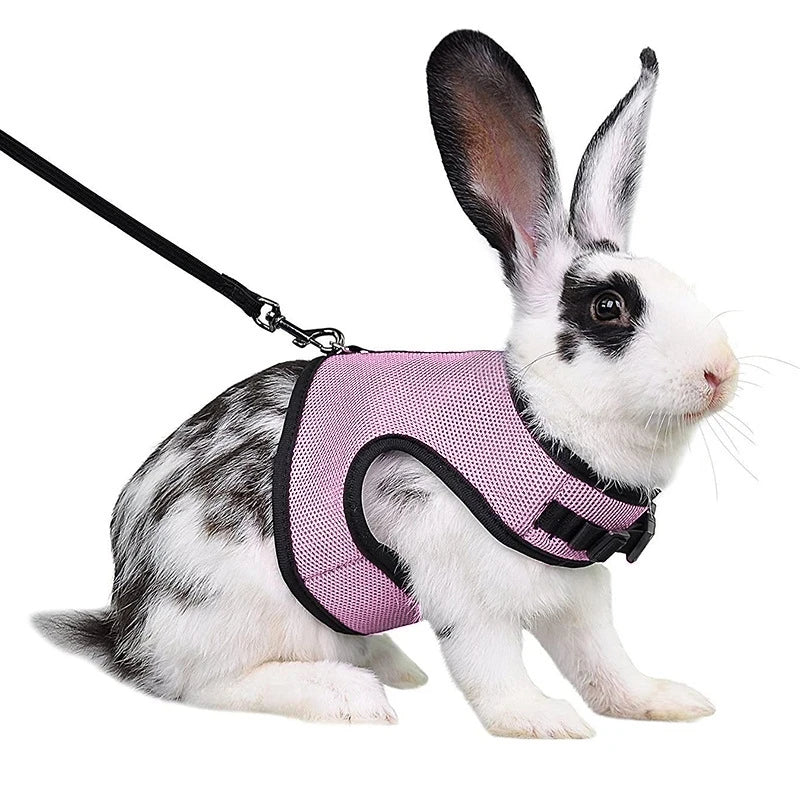 Rabbit Harness and Leash Set – Breathable Adjustable Pet Vest Carrier for Small Animals