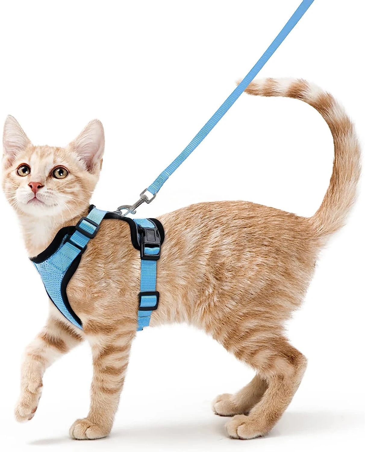 Cat Harness & Leash Set – Escape-Proof Soft Adjustable Vest for Walking