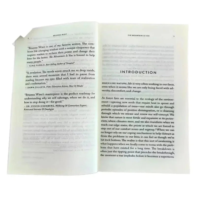 The Mountain Is You – Transforming Self-Sabotage Into Self-Mastery English Book