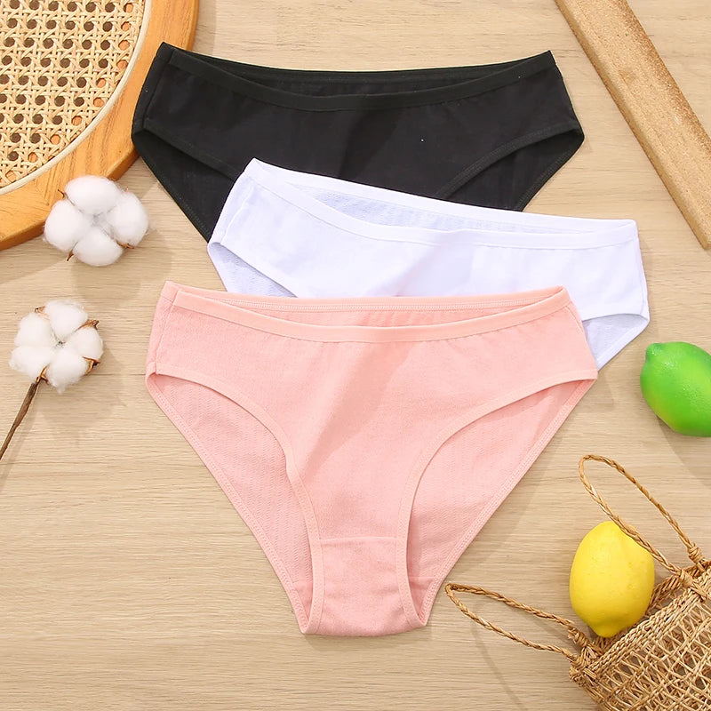 3PCS Set Women's Cotton Jacquard Panties Solid Color Sexy Briefs Underwear S-XL