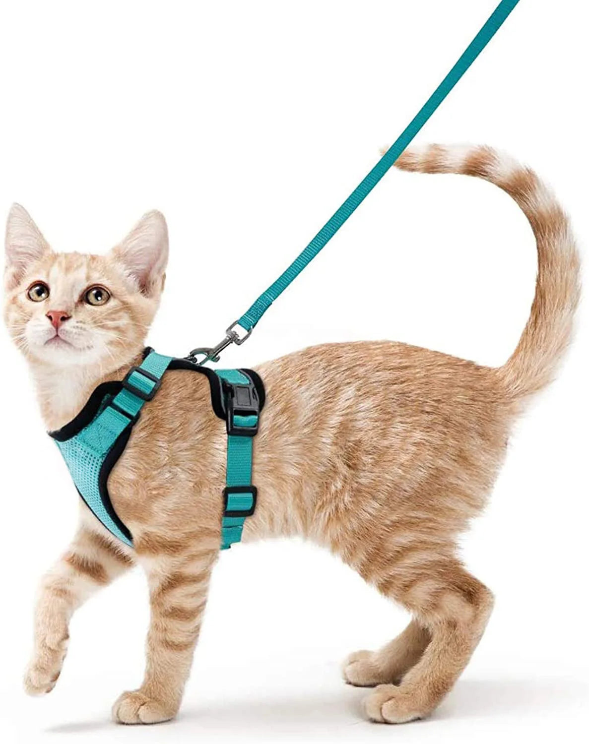 Cat Harness & Leash Set – Escape-Proof Soft Adjustable Vest for Walking