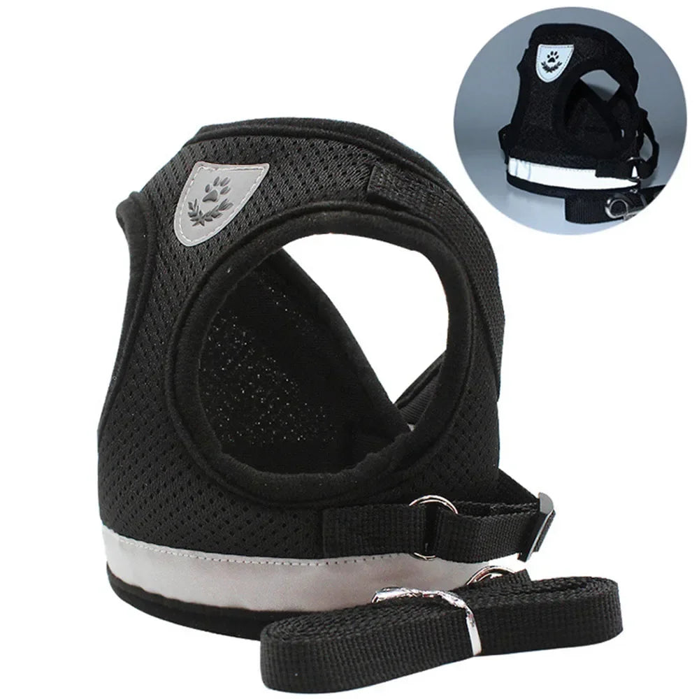 Cat & Small Dog Harness Leash Set – Reflective Escape-Proof Adjustable Vest