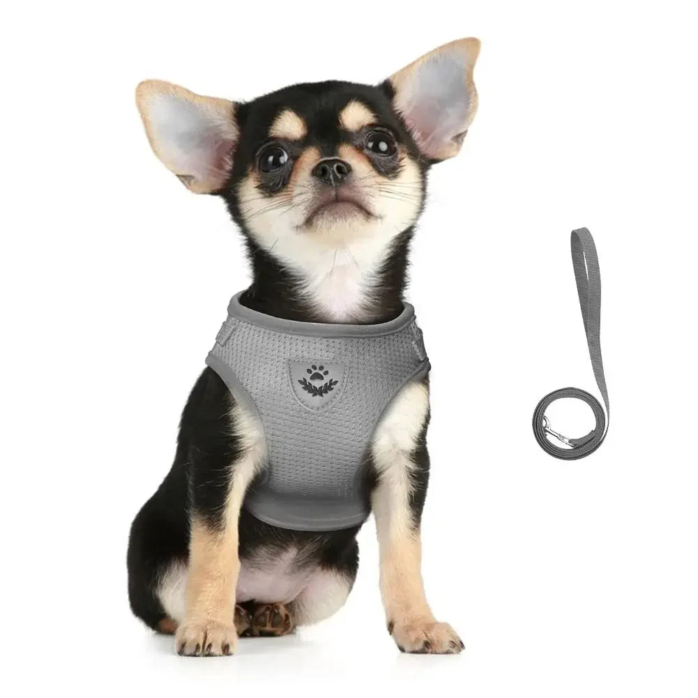 Cat & Small Dog Harness Leash Set – Reflective Escape-Proof Adjustable Vest
