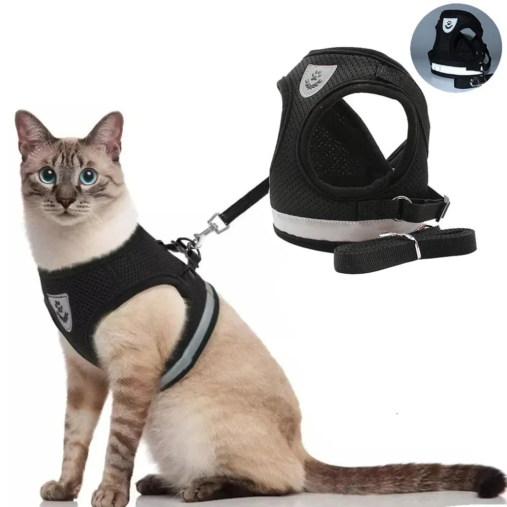 Cat & Small Dog Harness Leash Set – Reflective Escape-Proof Adjustable Vest