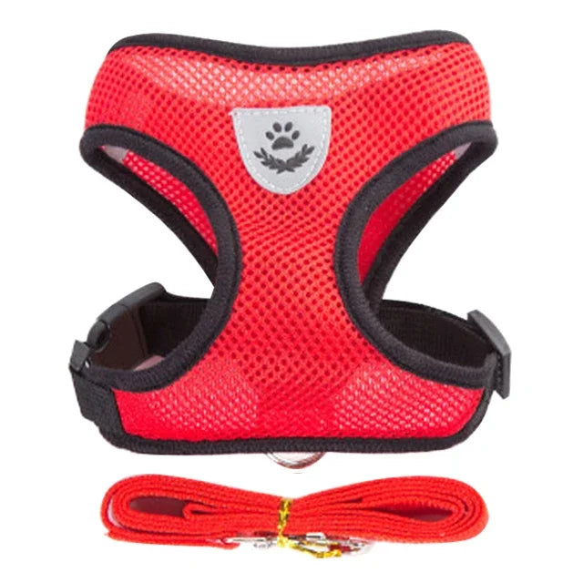 Adjustable Mesh Pet Harness & Leash Set – Comfortable Walking Vest for Cats & Small Dogs