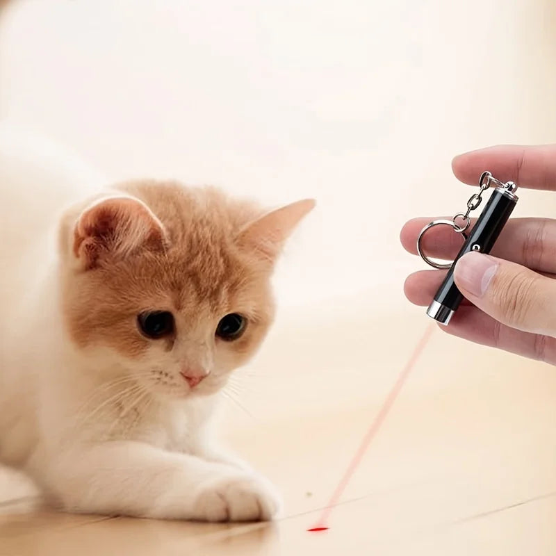 Interactive Cat Laser Pointer Toy – Light Pointer for Indoor Cat Exercise & Training