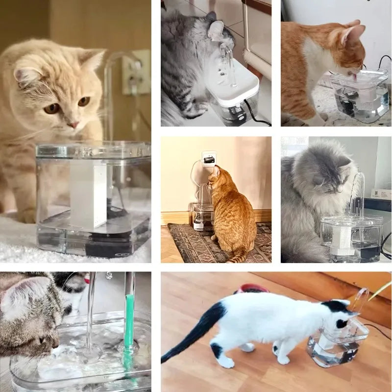 Automatic Cat Water Fountain – Transparent USB Silent Pet Water Dispenser with Filter
