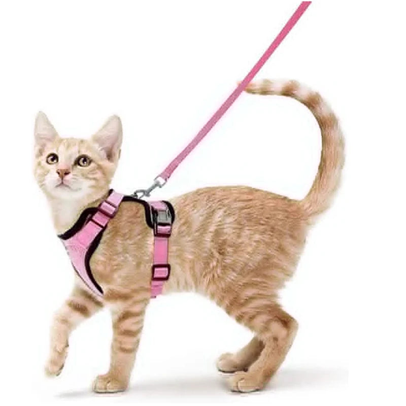 Cat Harness & Leash Set – Escape-Proof Soft Adjustable Vest for Walking