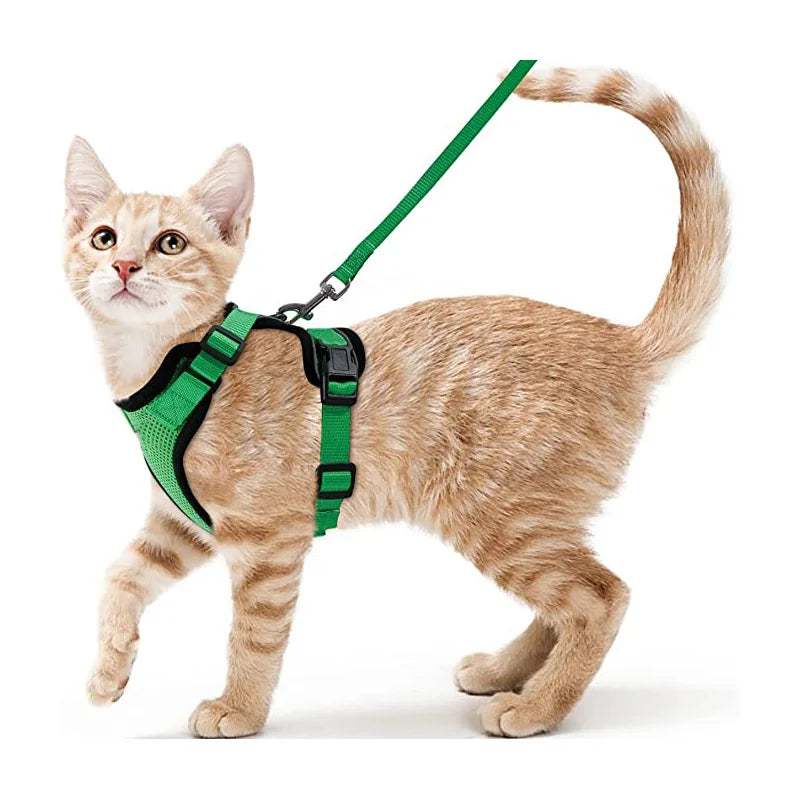 Cat Harness & Leash Set – Escape-Proof Soft Adjustable Vest for Walking