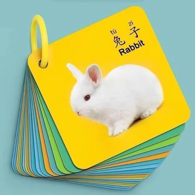 90-Page Animal & Fruits Numbers Cognitive Cards – Early Education & Literacy Learning Book for Kids