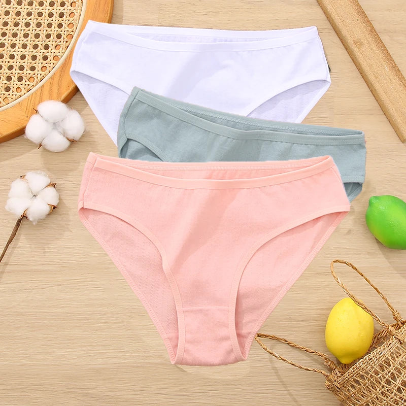 3PCS Set Women's Cotton Jacquard Panties Solid Color Sexy Briefs Underwear S-XL
