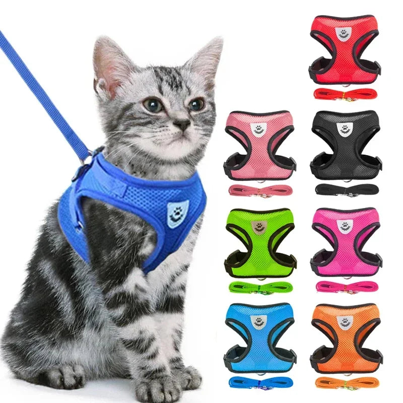 Adjustable Mesh Pet Harness & Leash Set – Comfortable Walking Vest for Cats & Small Dogs