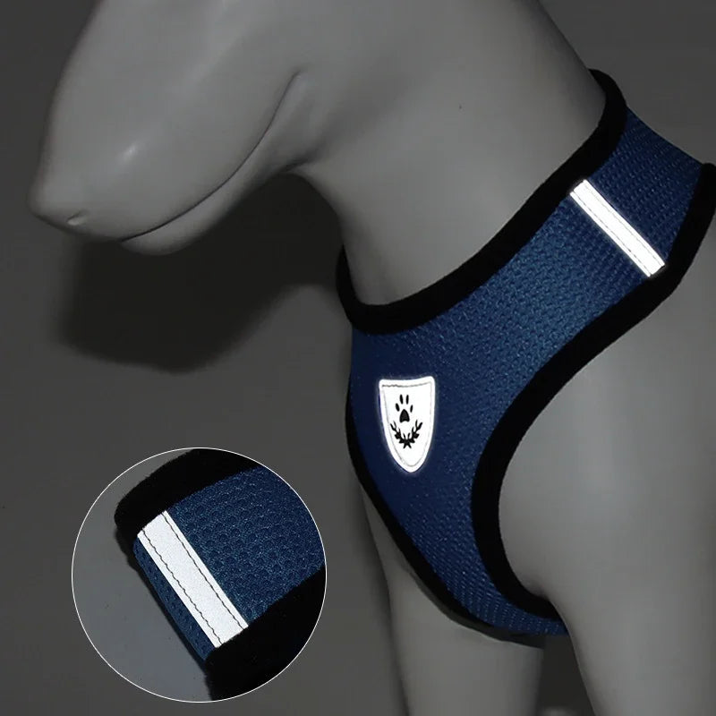 Adjustable Mesh Cat & Dog Harness with Leash – Breathable Walking Vest for Small & Medium Pets