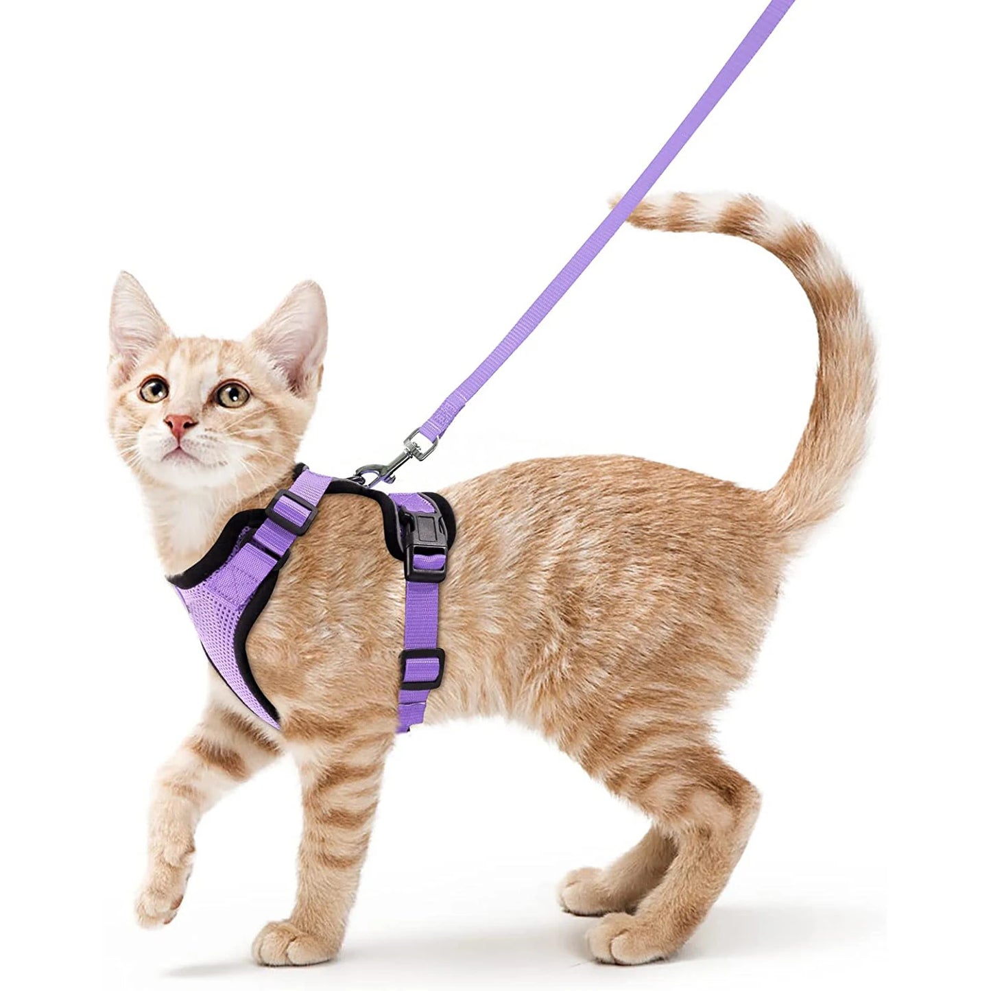 Cat Harness & Leash Set – Escape-Proof Soft Adjustable Vest for Walking