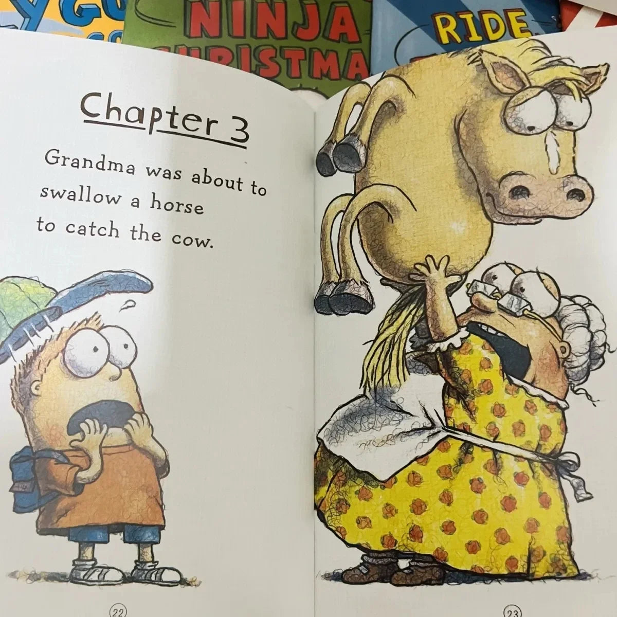 15-Book Usborne Set – Kids Picture Books, Famous Stories & Fly Guy Series English Reading