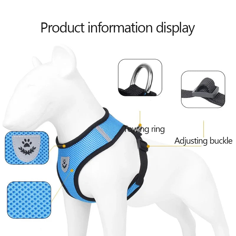 Adjustable Mesh Cat & Dog Harness with Leash – Breathable Walking Vest for Small & Medium Pets