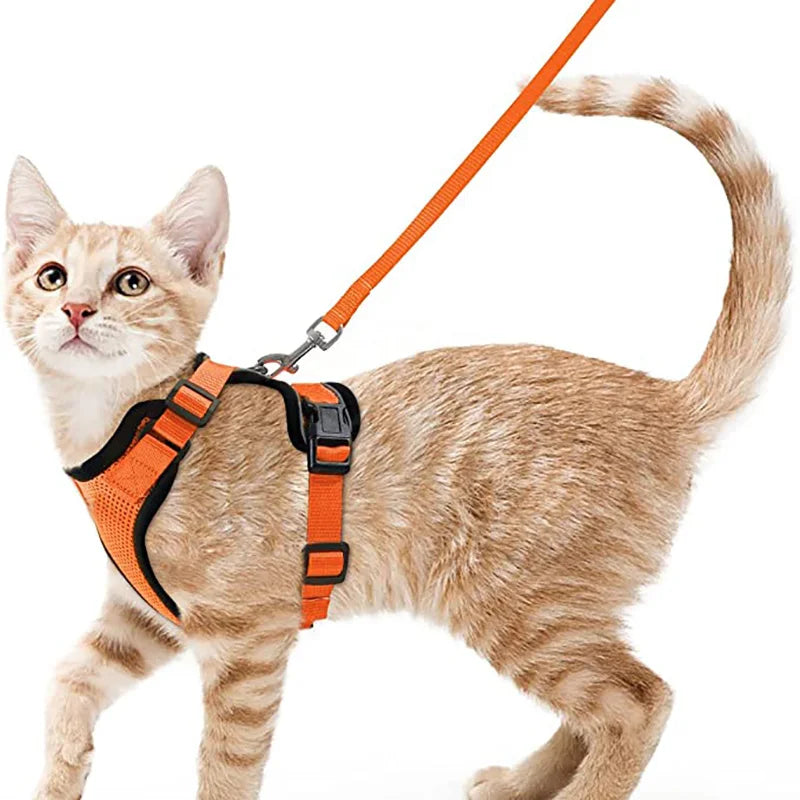 Cat Harness & Leash Set – Escape-Proof Soft Adjustable Vest for Walking