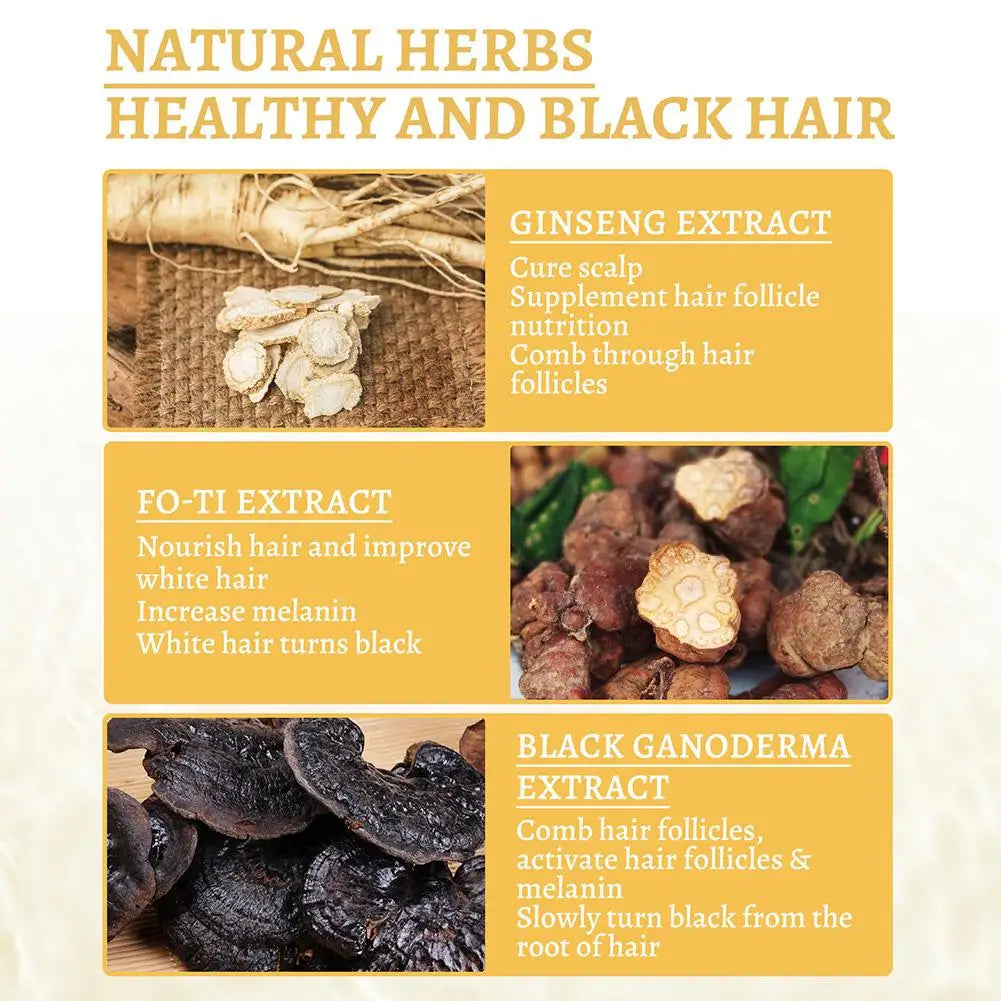 زيت الشعر من الأبيض إلى الأسود - لوشن عشبي لفروة الرأس لاستعادة اللون الطبيعي وتغذية الشعر وإصلاحه