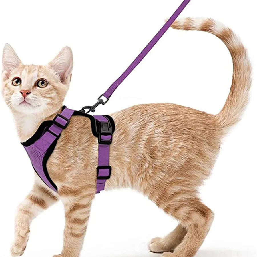 Cat Harness & Leash Set – Escape-Proof Soft Adjustable Vest for Walking