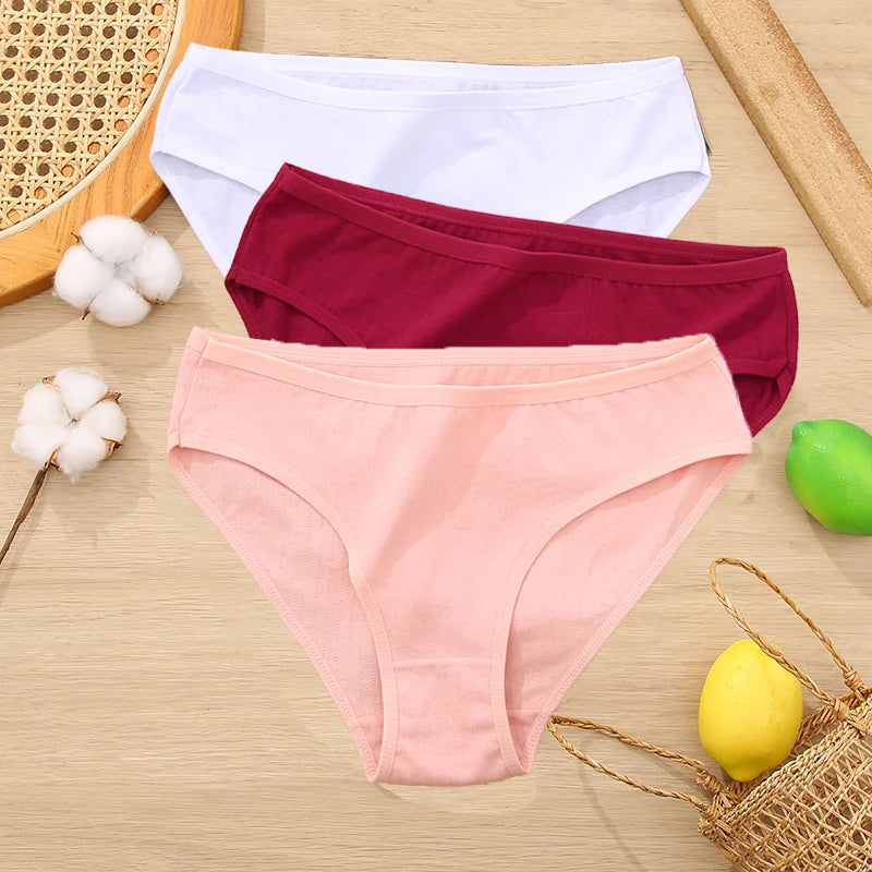 3PCS Set Women's Cotton Jacquard Panties Solid Color Sexy Briefs Underwear S-XL