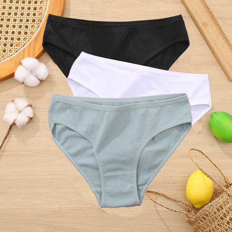 3PCS Set Women's Cotton Jacquard Panties Solid Color Sexy Briefs Underwear S-XL