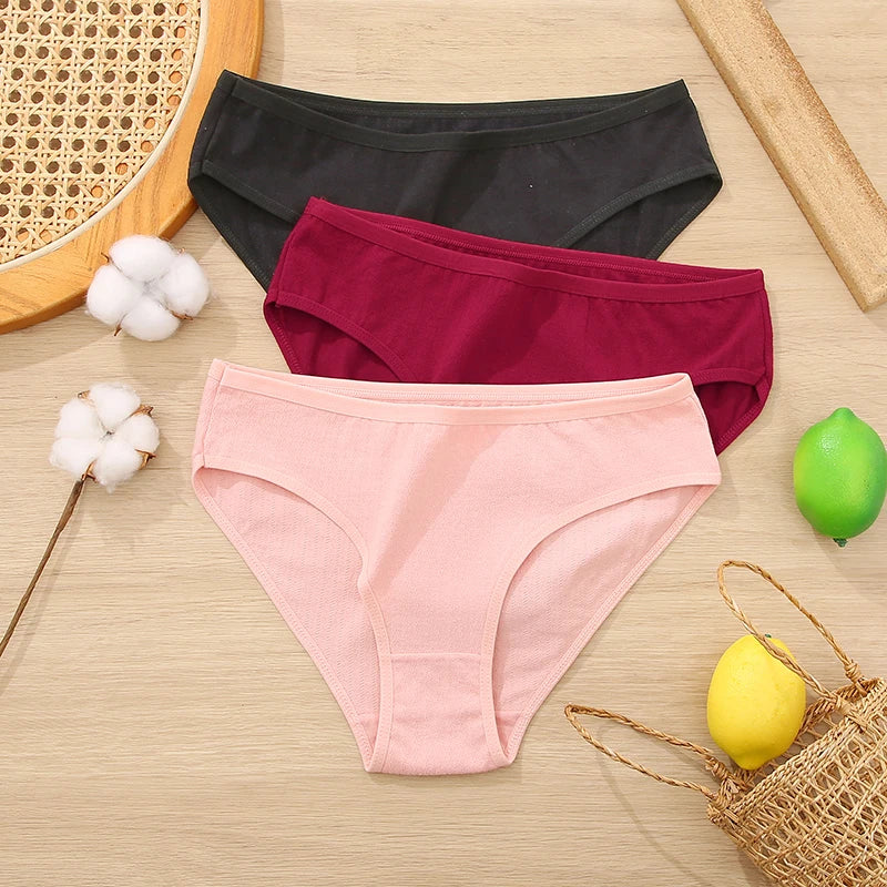 3PCS Set Women's Cotton Jacquard Panties Solid Color Sexy Briefs Underwear S-XL