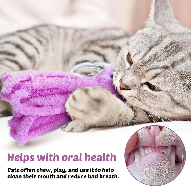 لعبة الأخطبوط القطيفة من ويسكر ويجل™ ​​- لعبة مضغ ناعمة للقطط الصغيرة والقطط الصغيرة