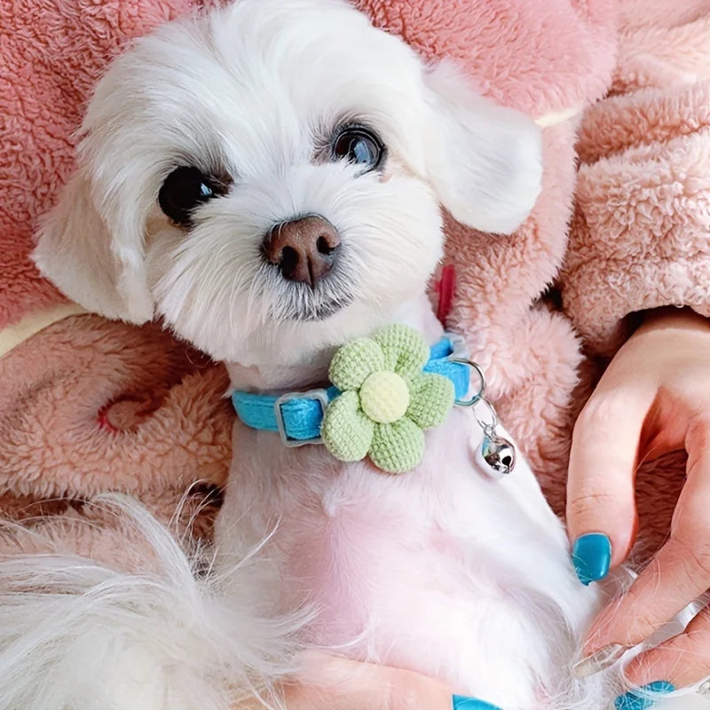 طوق قطط منقوش قابل للتعديل مع عقدة ربط - إكسسوار أنيق للاحتفالات واليوميات